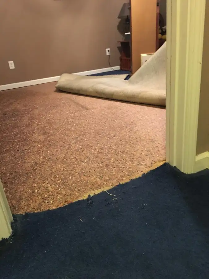 Carpet pad removal revealing water damage during Drying & Dehumidification in Maple Grove