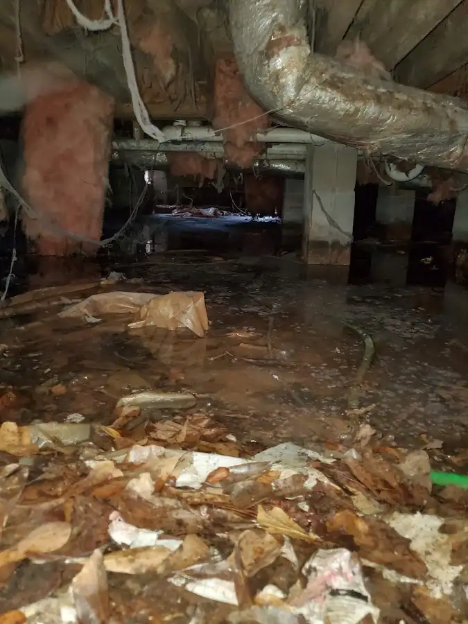 Crawl space flood assessment for Leak Detection & Repair in Maple Grove