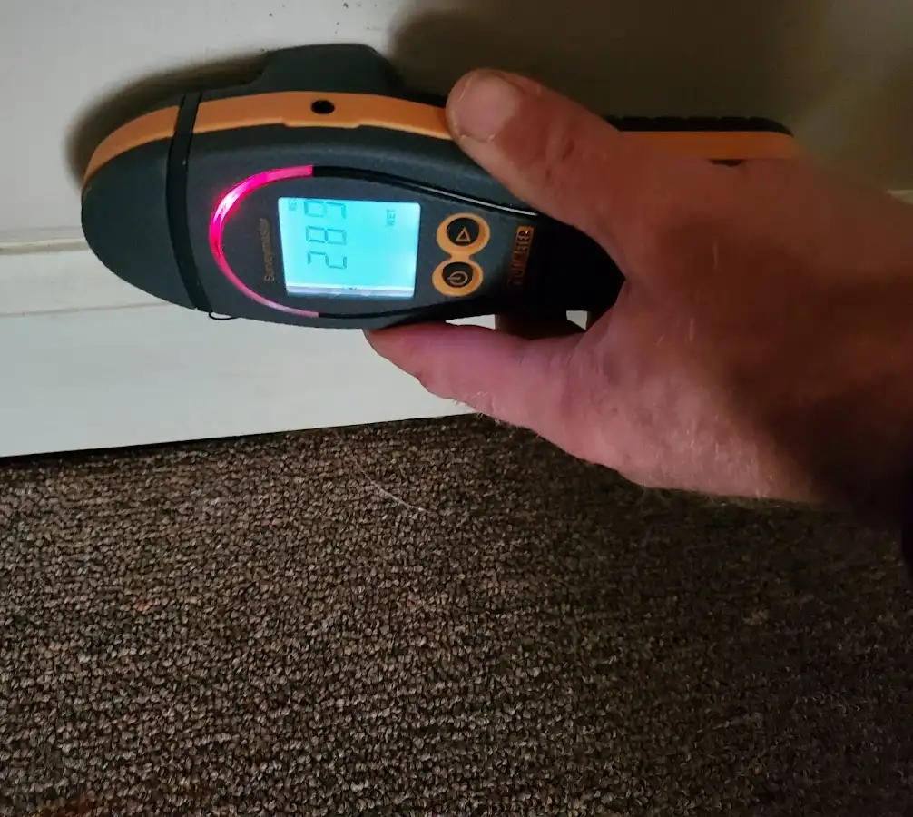 Moisture detection at baseboard during Mold Inspection & Testing in Maple Grove